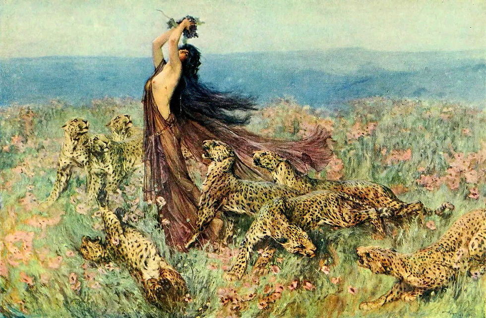 ménade léopard bijoux