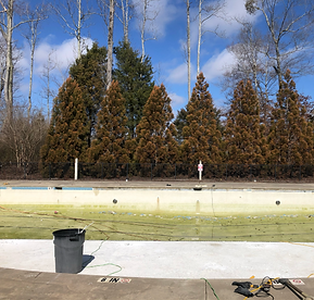 PALPOOL B&A PICS_POOL 5 BEFORE.png