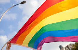 VITÓRIA LGBTQIA+: 20 REPRESENTANTES CHEGAM AO LEGISLATIVO 