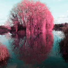 _DSC6162-Edit.jpg