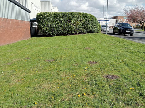 Commercial grass area maintained by Total Care Grounds Maintenance