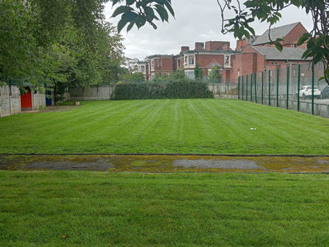 Maintained commercial grass area by Total Care Grounds Maintenance