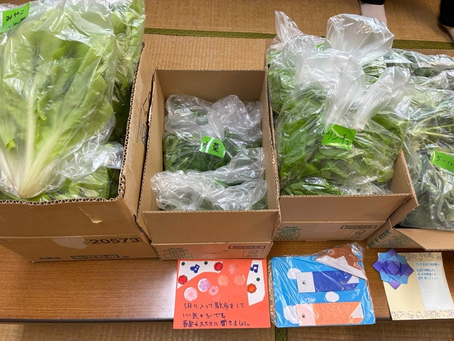 子育て応援フードパントリー、子ども食堂チアーズさんより新鮮なお野菜いっぱい頂きました!