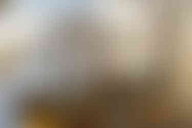 brides holding hands nxwhere california joshua tree wedding