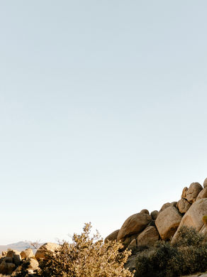 joshua tree elopement among the rocks | james + zoe