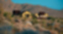 joshua-tree-wedding-venue-sacred-sands.jpg