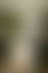 modern bridal hanbok handmade