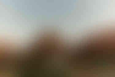 two brides exchanging vows during sunrise at zion national park elopement