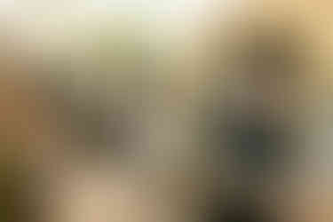 cocktail hour at nxwhere california joshua tree wedding