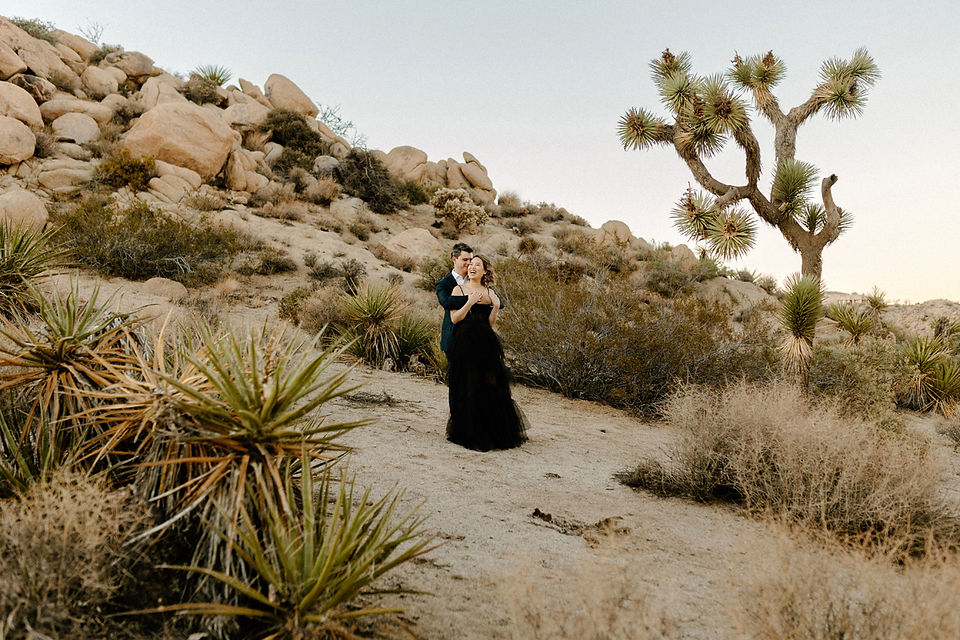 bride and groom surrounded by joshua trees