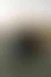 bride wearing black walking with groom down street in joshua tree elopement