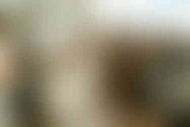 excited bride and groom walk down the aisle at rimrock ranch in joshua tree