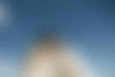 lesbian brides kissing in the desert at nxwhere california joshua tree