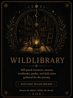 Illustrated celestial and nature-inspired artwork for the WildTopography media ecosystem