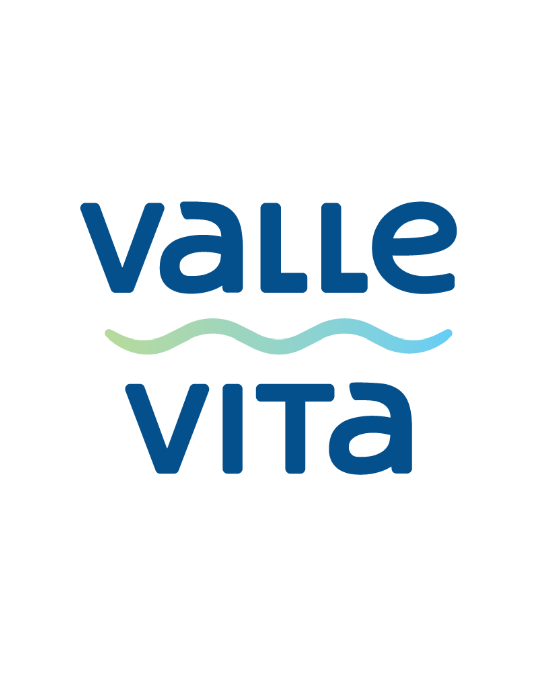 Foto do escritor: Valle Vita