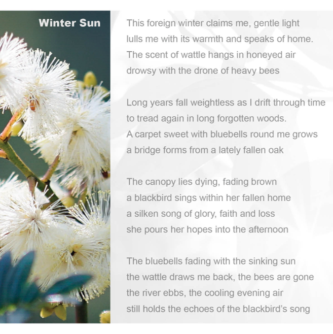 Thumbnail: Greeting Cards  - "Wattle" Pack of 4 - AU$20 + Postage