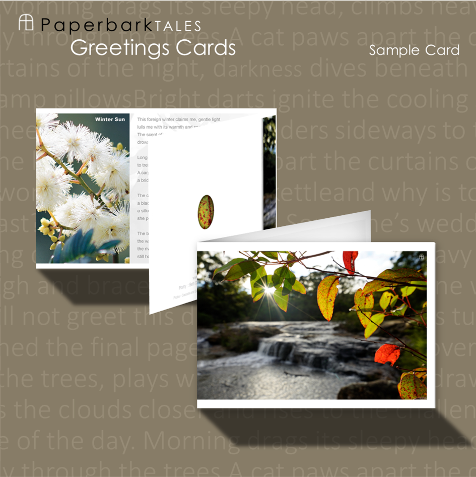 Thumbnail: Greeting Cards  - "Wattle" Pack of 4 - AU$20 + Postage
