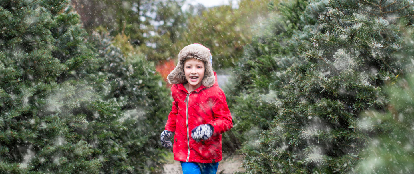 Child running through Seldome Rest Christmas Tree Farm