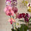 Thumbnail: Phalaenopsis Orchid Ensemble