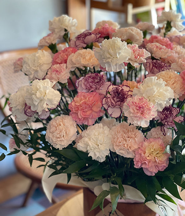 Thumbnail: 101 Dianthus Bloom Teak