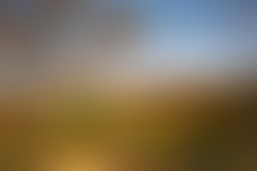 Avanços e Desafios na Preservação do Cerrado: Um Olhar sobre o Plano de Recuperação da Vegetação Nativa