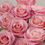 Thumbnail: Romantic Roses