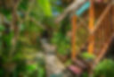 Copy of DSC09817-HDR.jpg