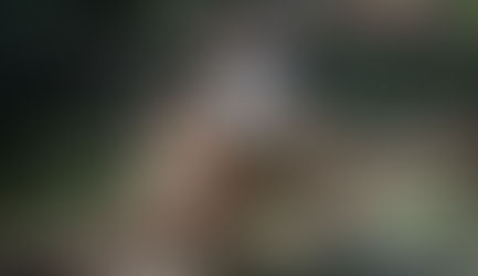 Where Locals Love to Chill in Swan Valley