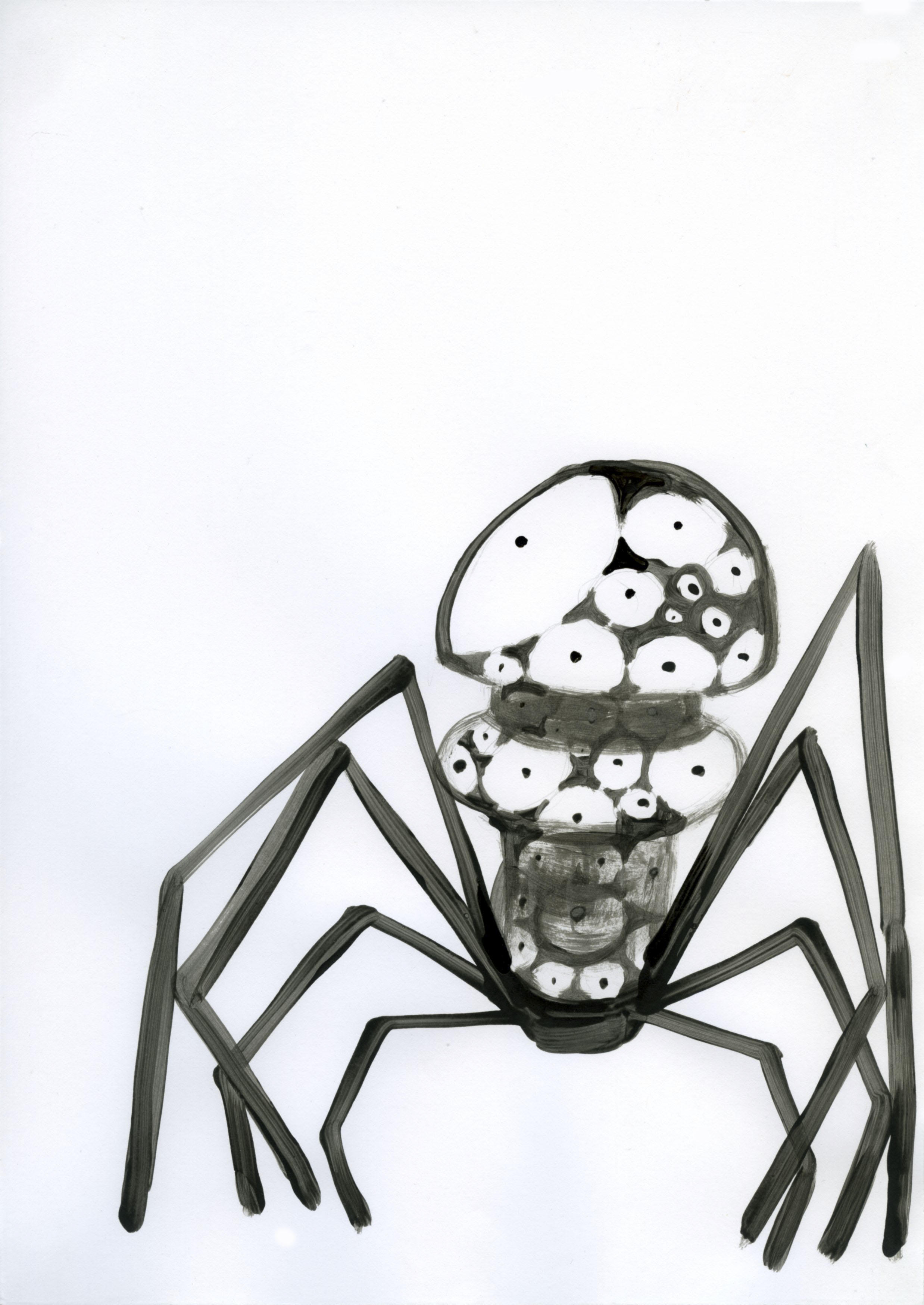 The existentialist spider
