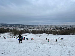 IMG_9506.jpeg
