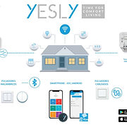 NP YESLY REBUILD_.jpg
