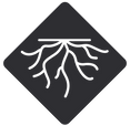 Establish-LOGO.png