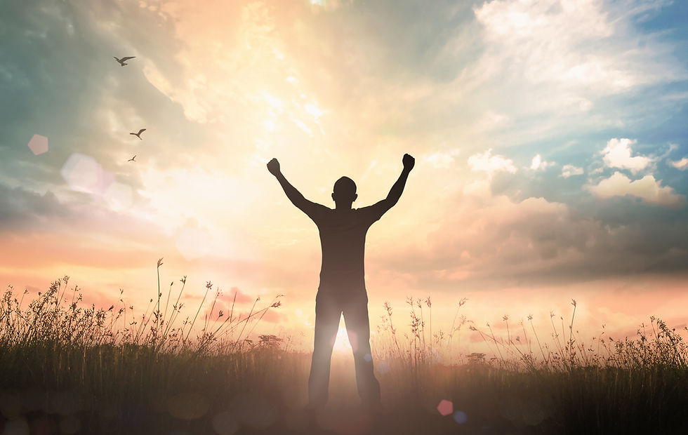 Wellness Recovery Action Plan (WRAP) con