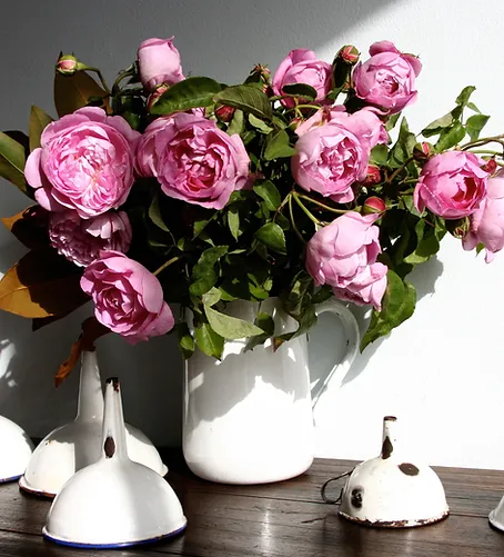 Roses and Rose'