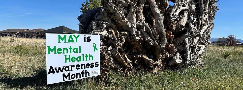 Mental Health Awareness website photo.jpg