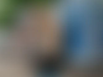 What You Need To Know When Booking a Food Truck