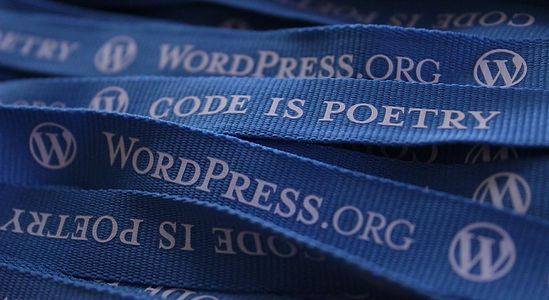 wordpress-552922_1920.jpg
