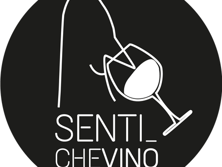 IL VINO NON SI STUDIA SI BEVE