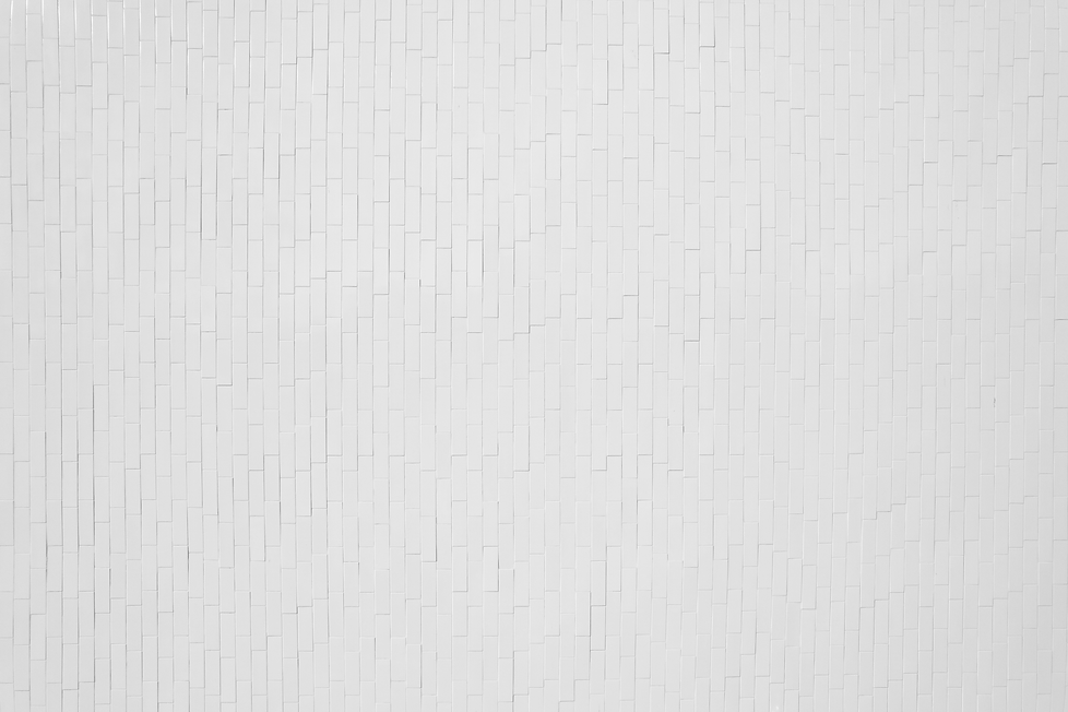 Présentation Thomas et Farid-2 fond.png