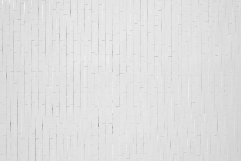 Présentation Thomas et Farid-2 fond.png