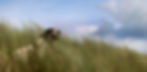 download (40)_edited.jpg