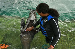 E44514F2-51CD-4D23-B746-D18881B9B9CC