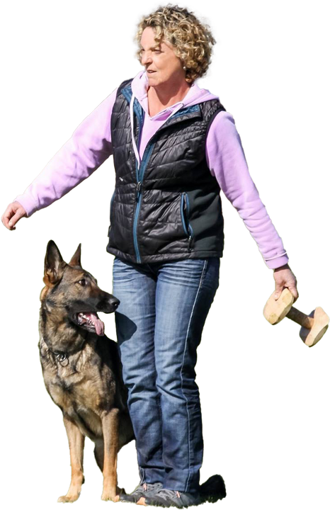 bg3