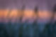 evening-atmosphere-4315445.jpg