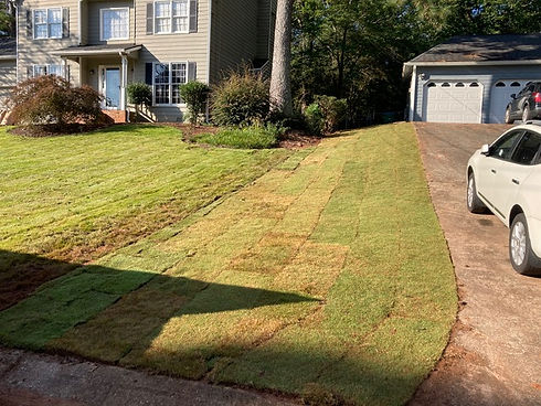 Zoysia Sod Install.jpeg