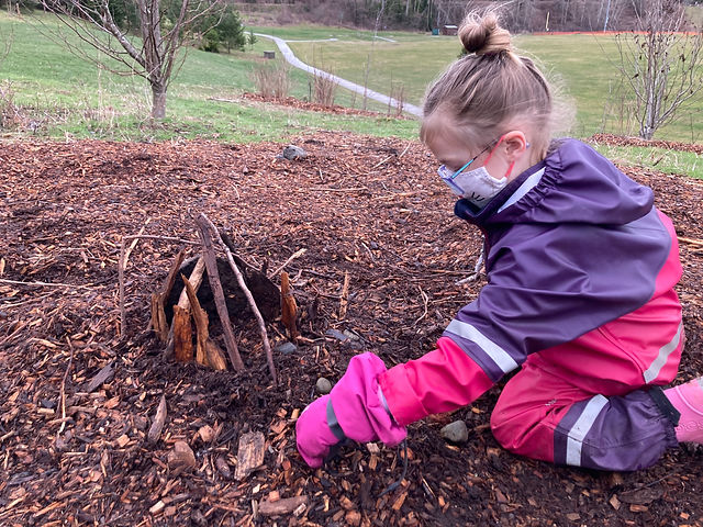 ellas fairy house.jpeg