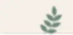 Leaf Sec.webp