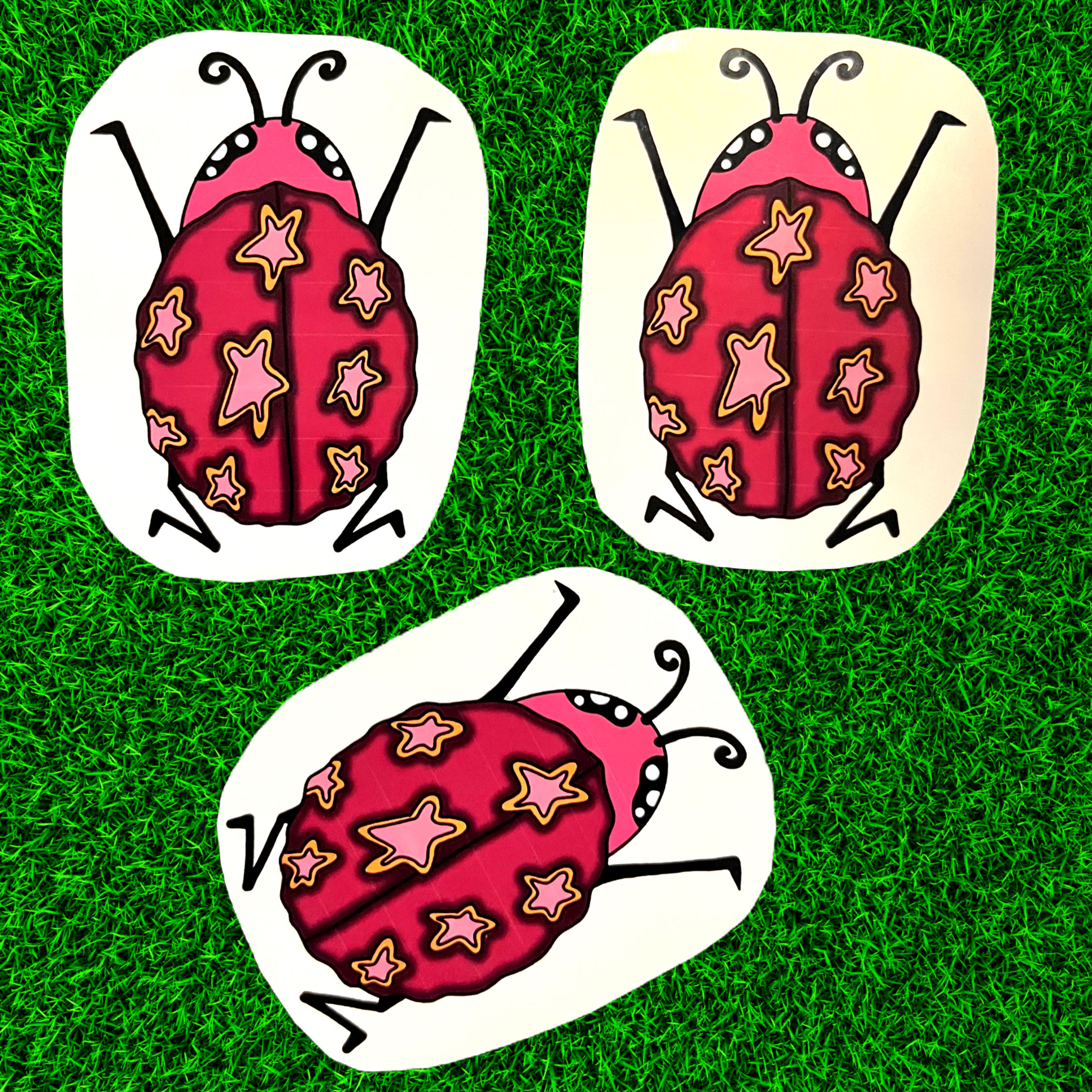 *Ladybug* Sticker
