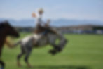 Bronco Riding at Don King Days - Photo Credit Sheridan Media