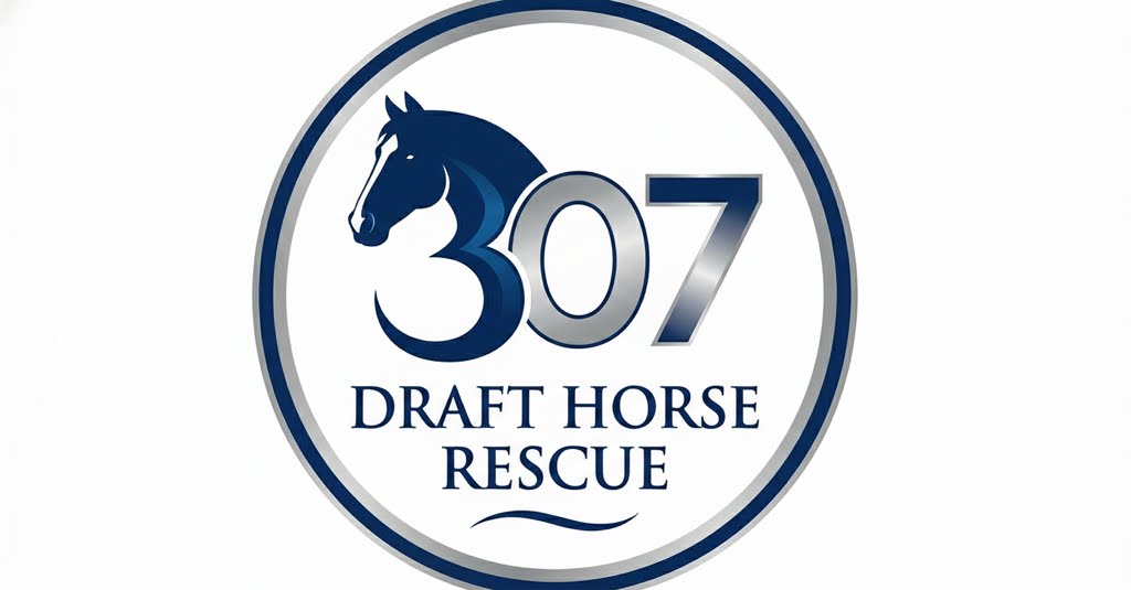 Writer: 307 Draft Horse Rescue